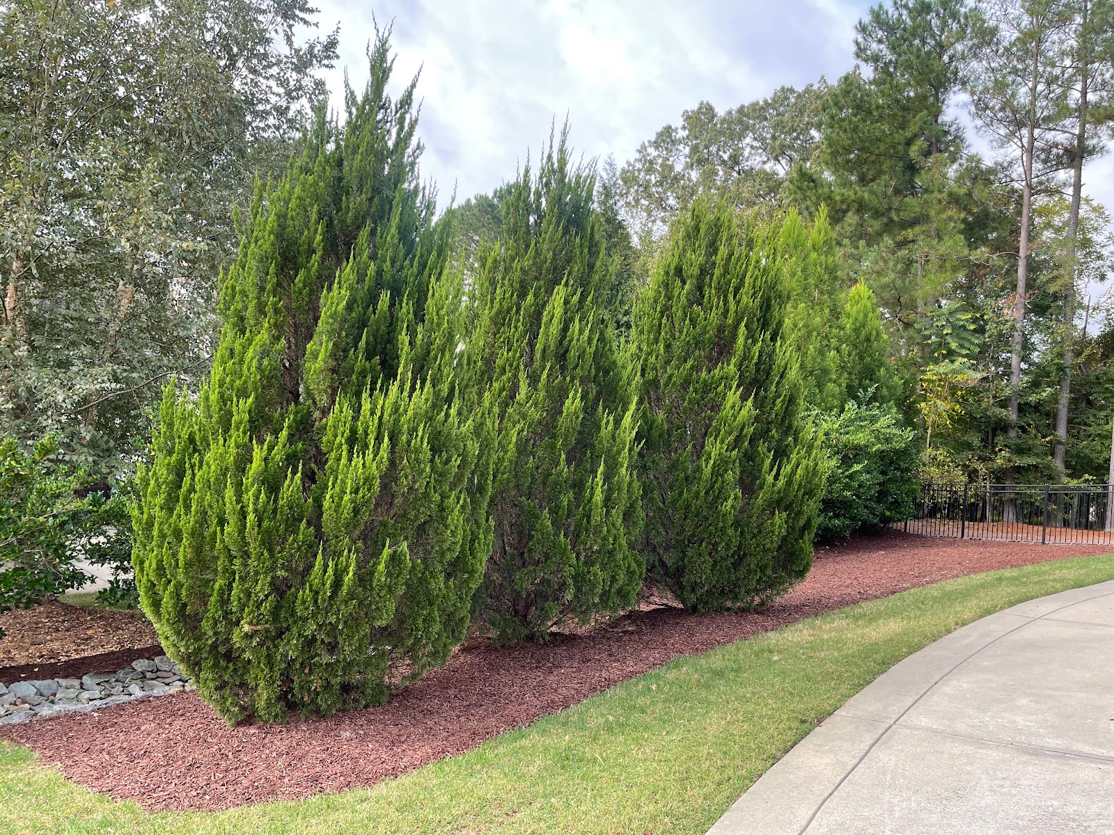 Lawn Fertilization