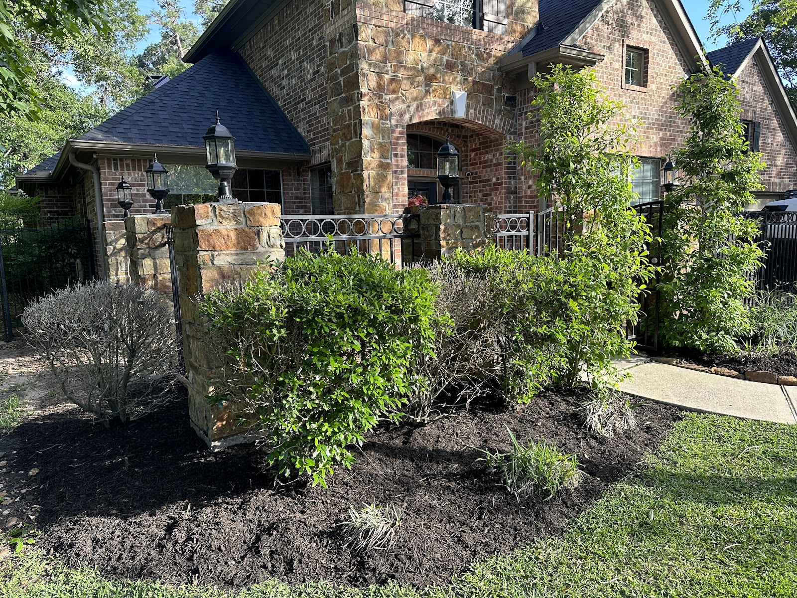 Landscape Design