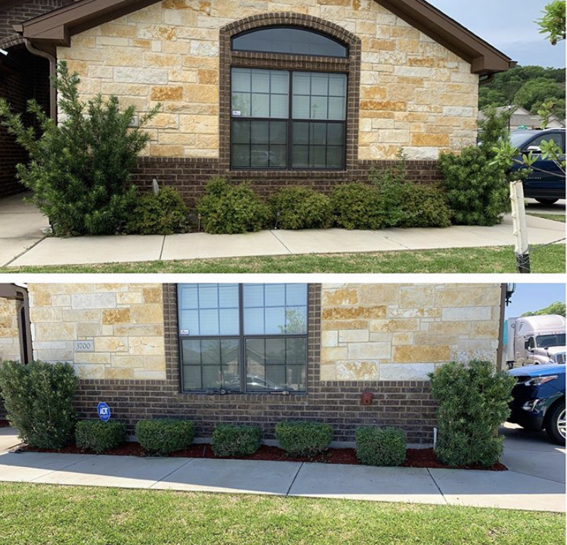 Najee, owner of Dream Green Lawn Care