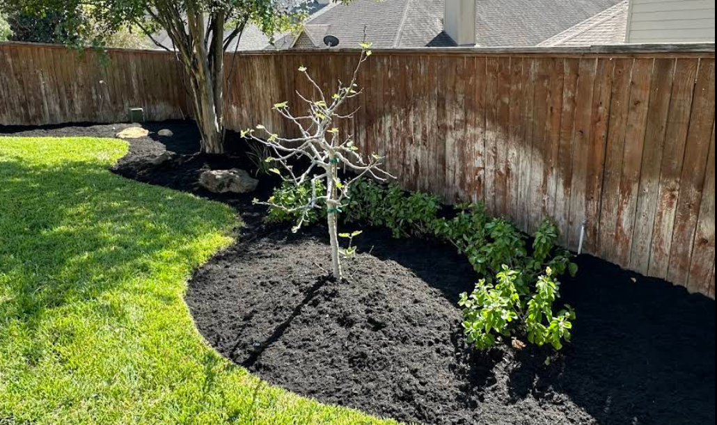 Lawn and landscape work by Dream Green Lawn Care