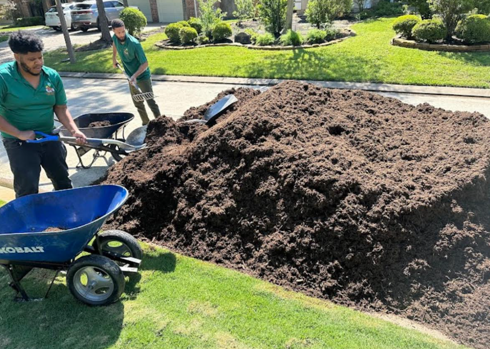 Lawn and landscape work by Dream Green Lawn Care