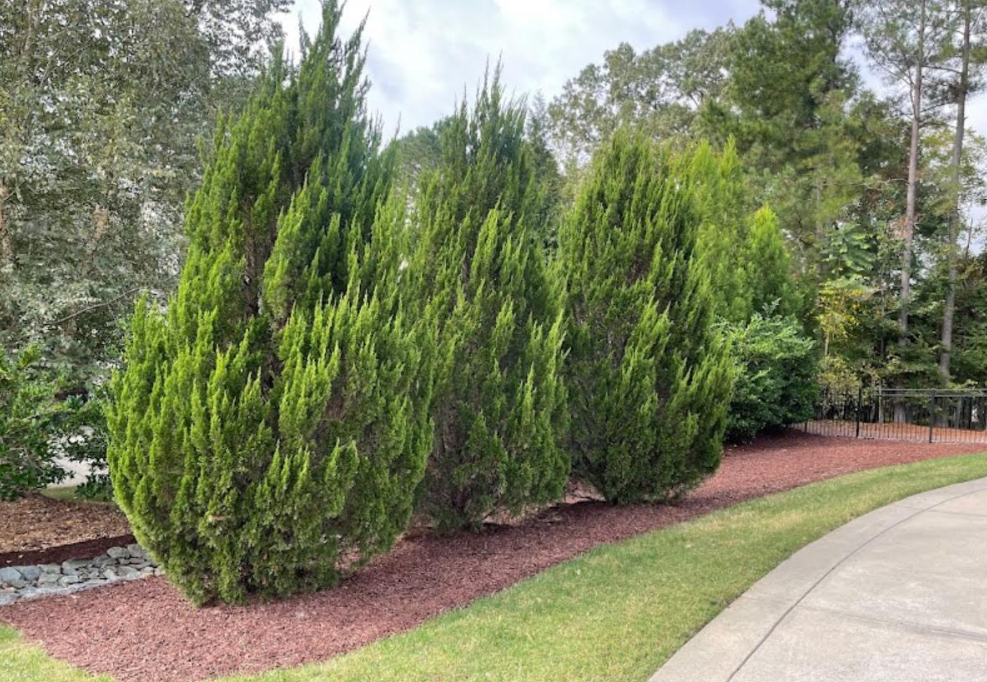 Lawn and landscape work by Dream Green Lawn Care