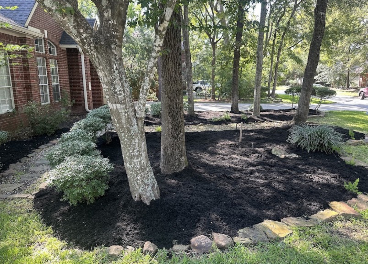Lawn and landscape work by Dream Green Lawn Care
