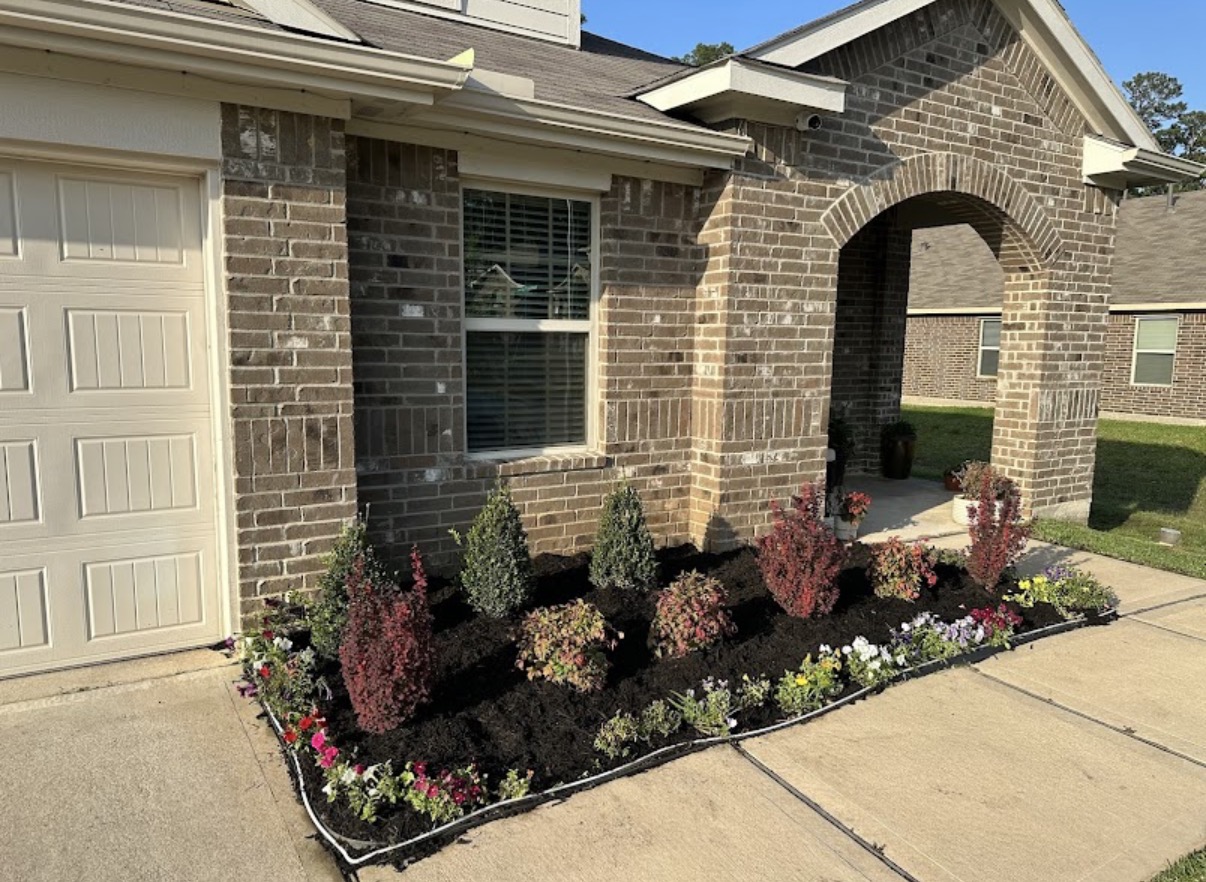 A cared-for lawn in The Woodlands