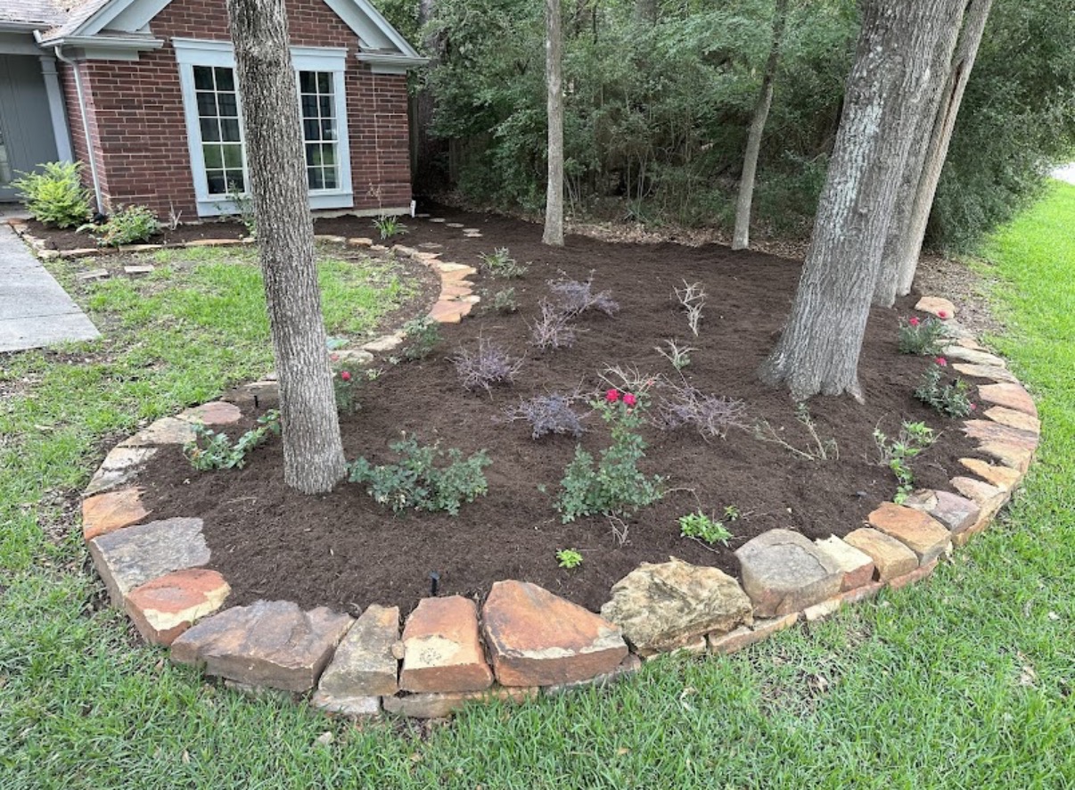A freshly cared-for lawn in The Woodlands
